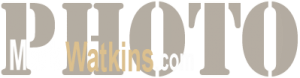 TheStyle Logo